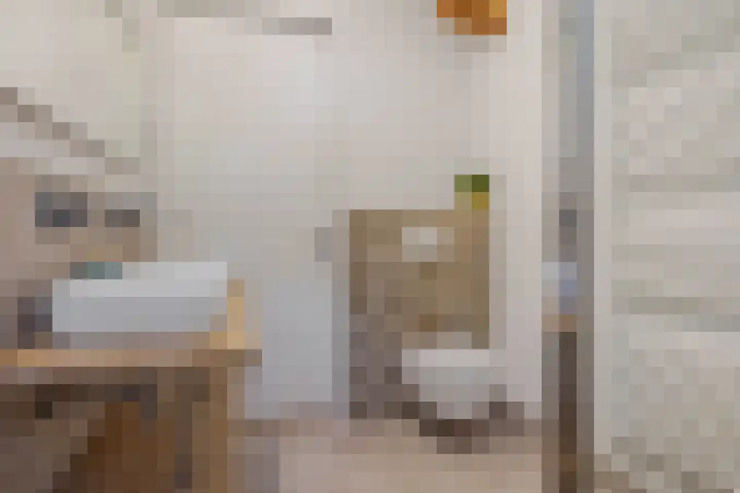 De Stille Wille 51 Oost West en Middelbeers thumbnail 32