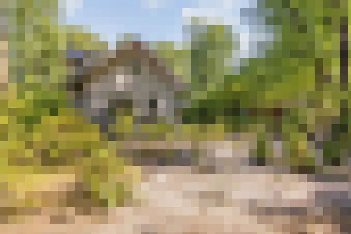De Stille Wille 51 Oost West en Middelbeers thumbnail 36