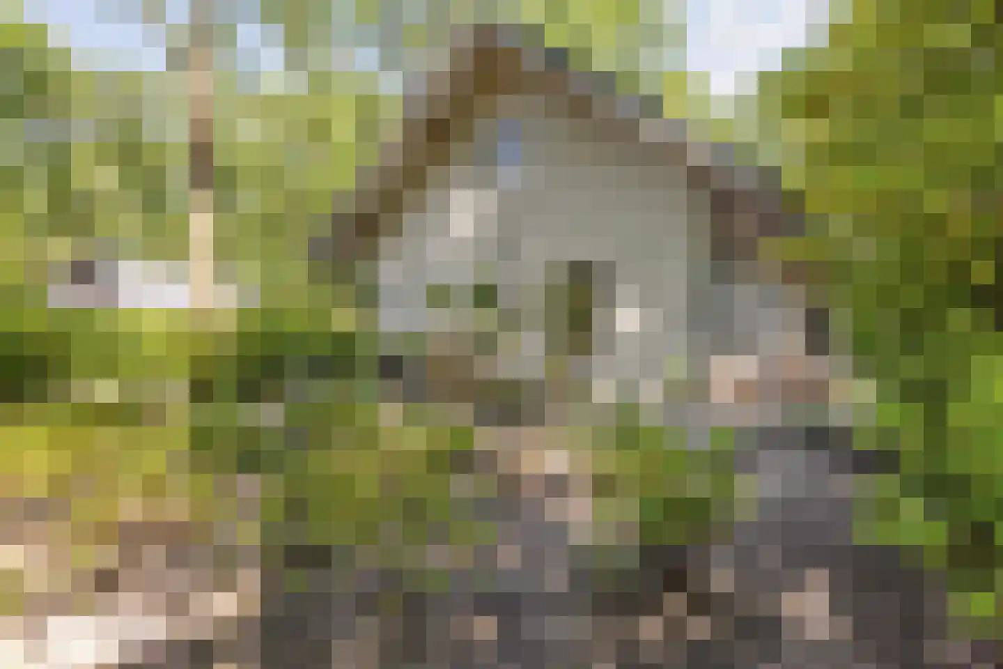 De Stille Wille 51 Oost West en Middelbeers thumbnail 37