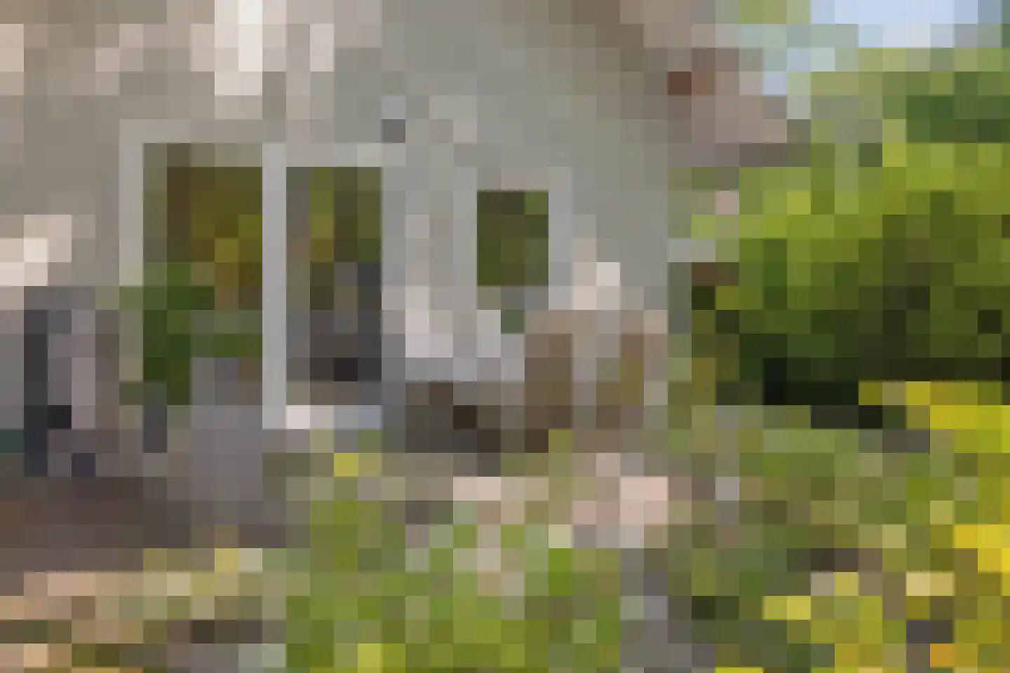 De Stille Wille 51 Oost West en Middelbeers thumbnail 38