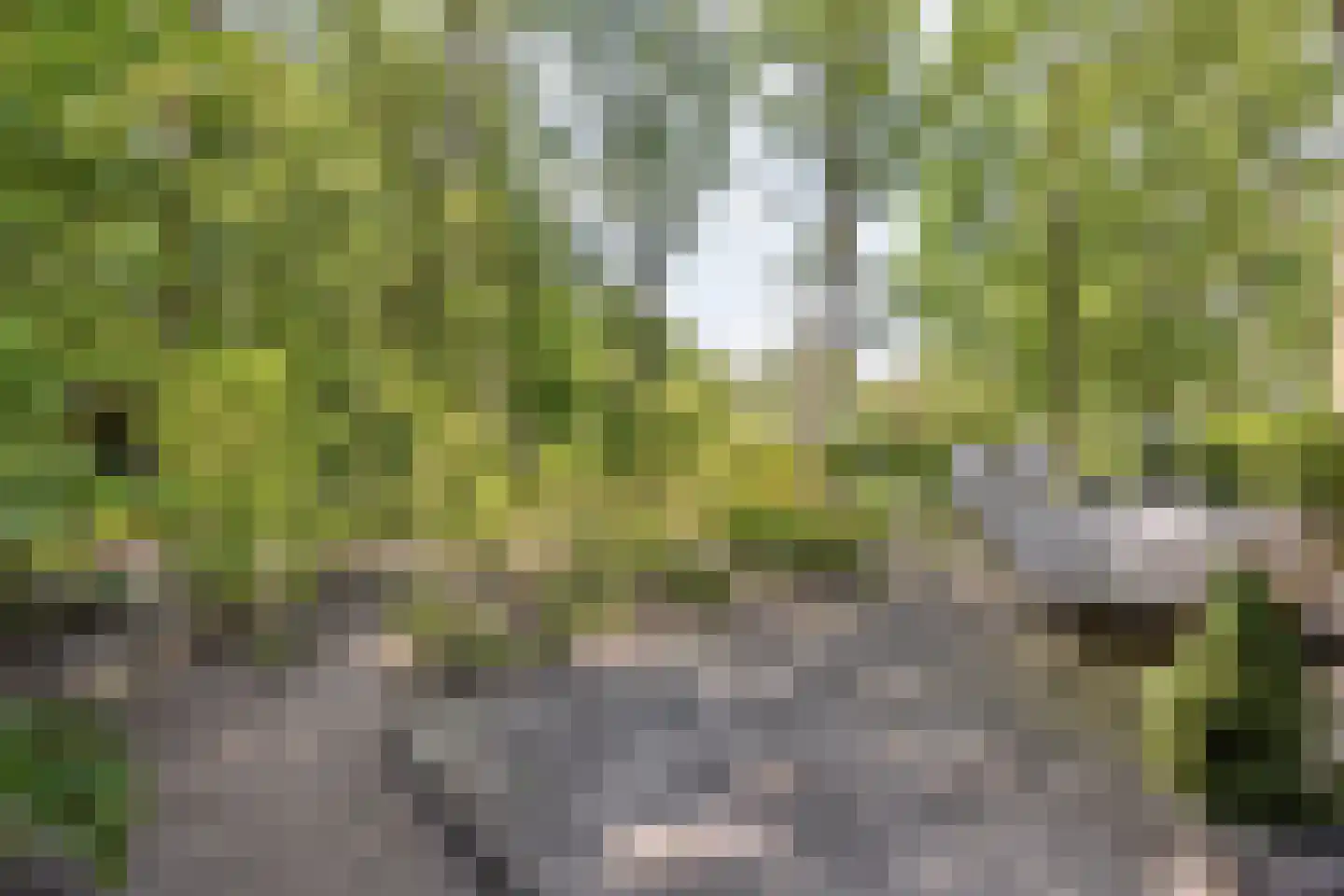 De Stille Wille 51 Oost West en Middelbeers thumbnail 39