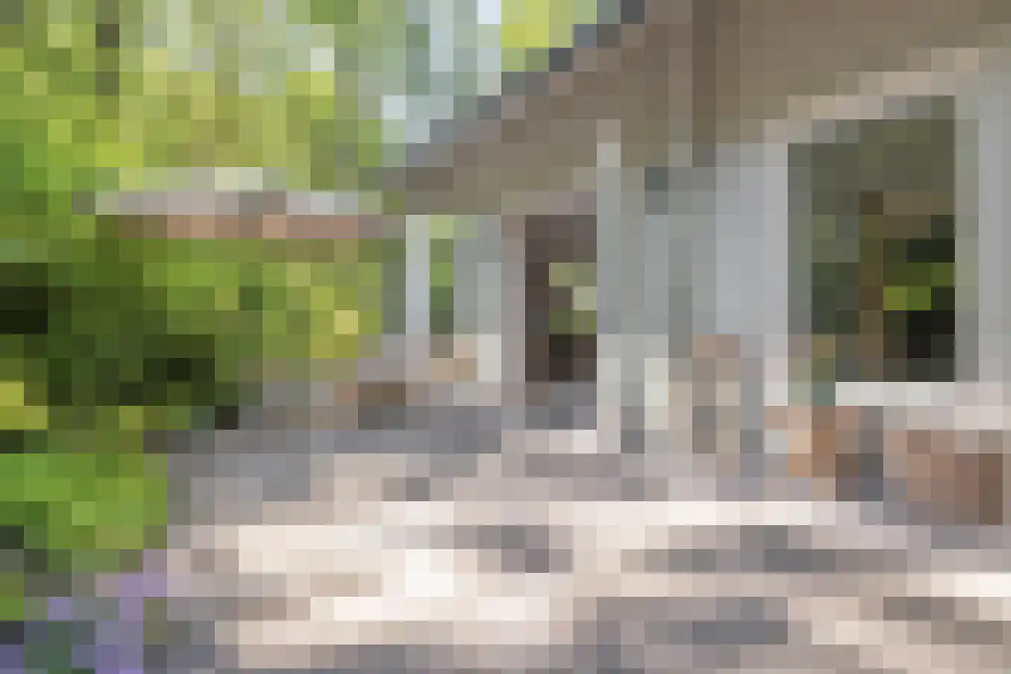 De Stille Wille 51 Oost West en Middelbeers thumbnail 42