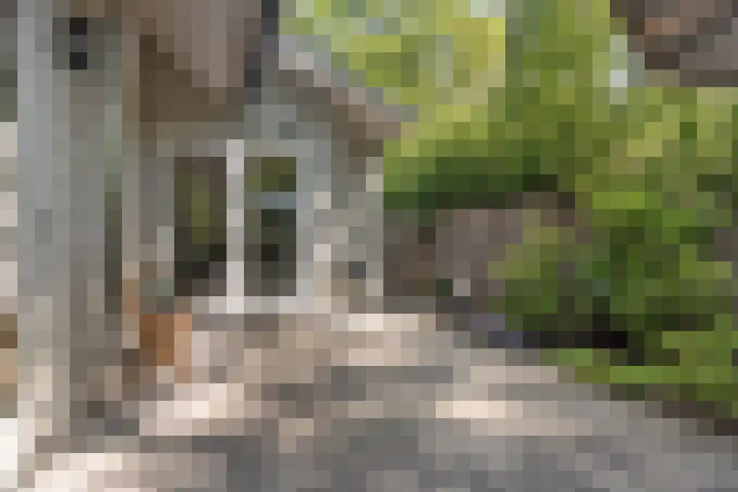 De Stille Wille 51 Oost West en Middelbeers thumbnail 44