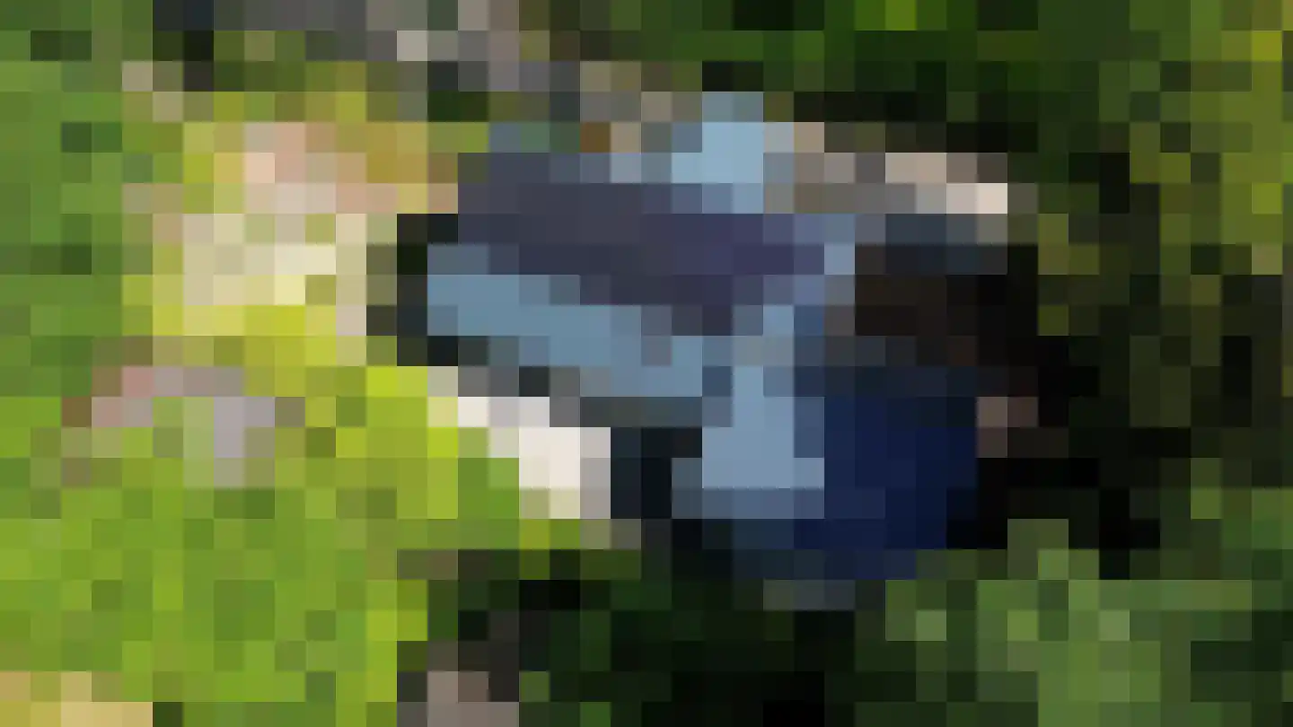 De Stille Wille 51 Oost West en Middelbeers thumbnail 45