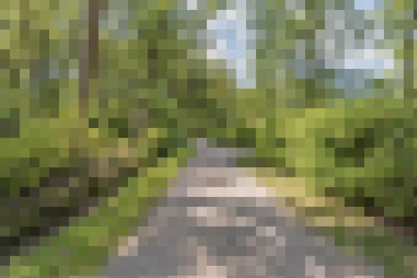 De Stille Wille 51 Oost West en Middelbeers thumbnail 48