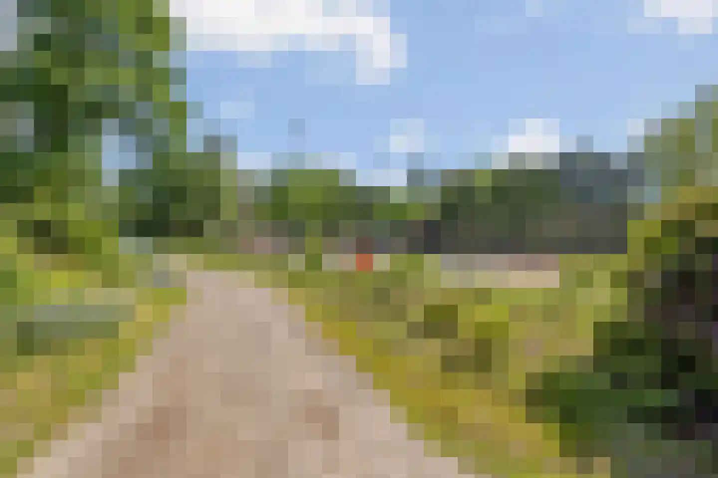 De Stille Wille 51 Oost West en Middelbeers thumbnail 52