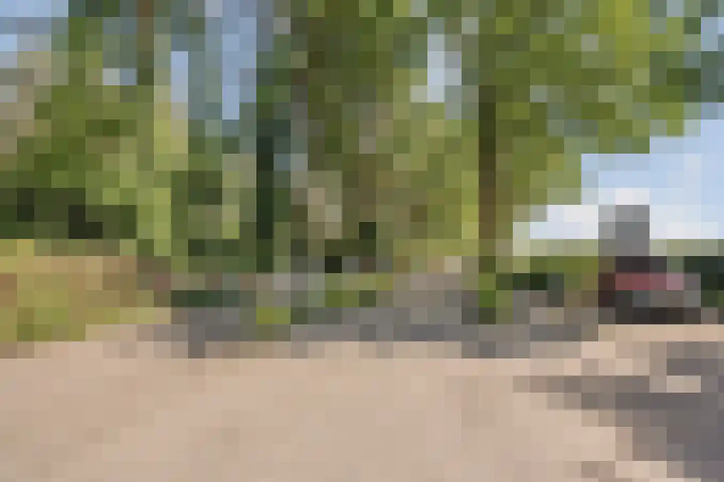 De Stille Wille 51 Oost West en Middelbeers thumbnail 55