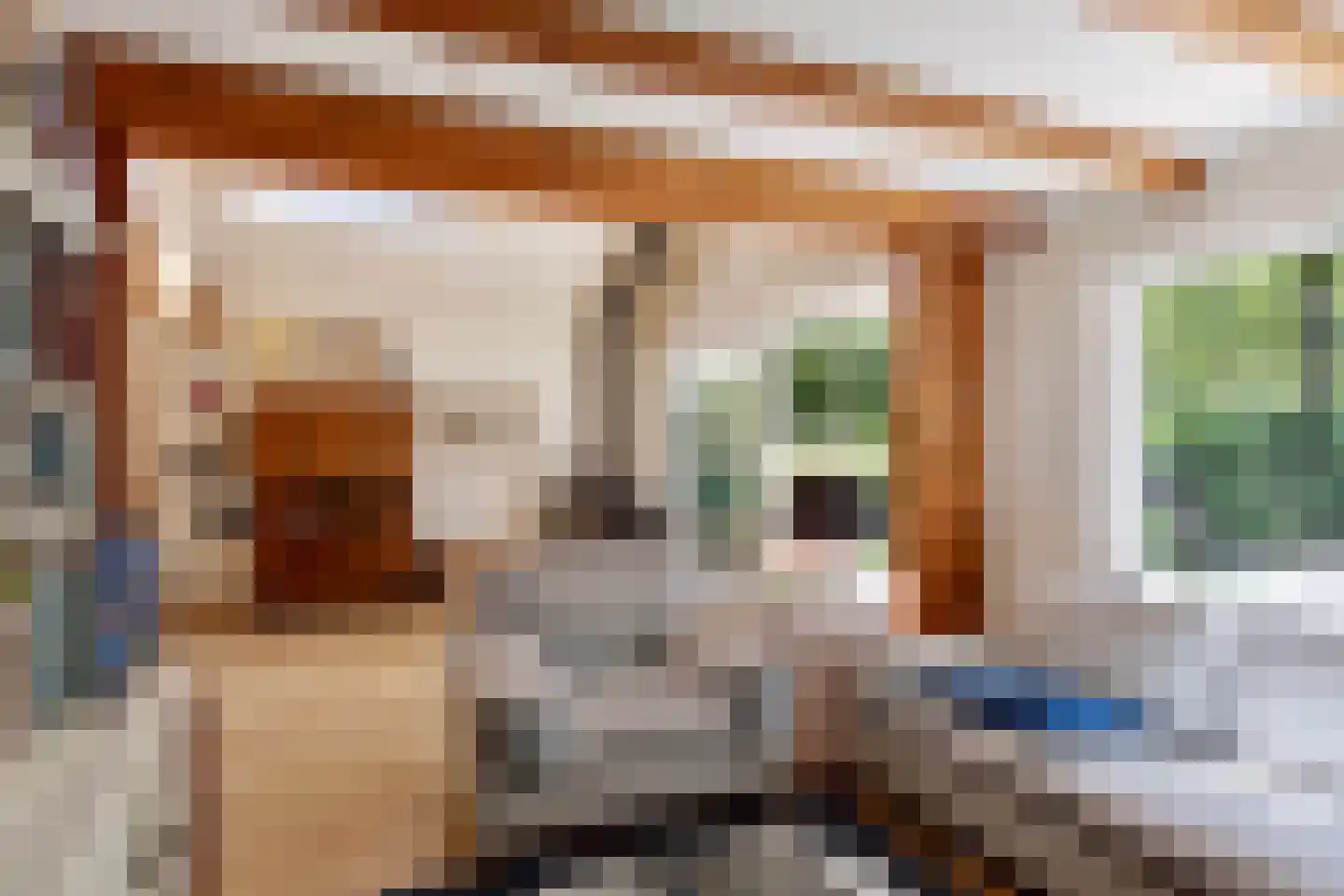 De Stille Wille 55 Oost West en Middelbeers thumbnail 10
