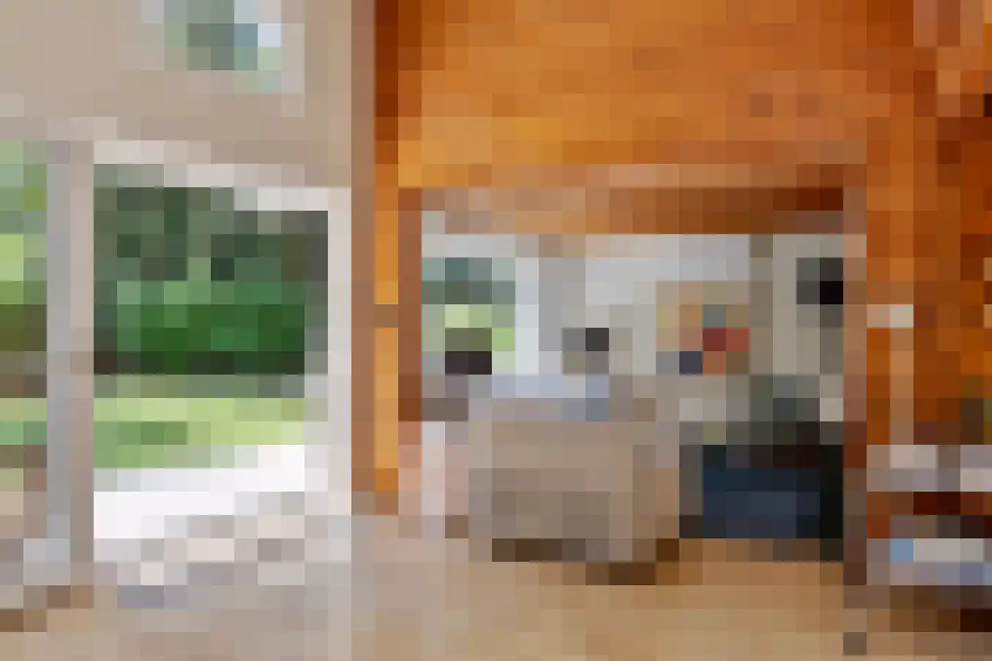 De Stille Wille 55 Oost West en Middelbeers thumbnail 12