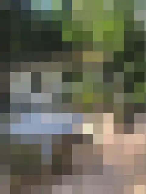 De Stille Wille 55 Oost West en Middelbeers thumbnail 13