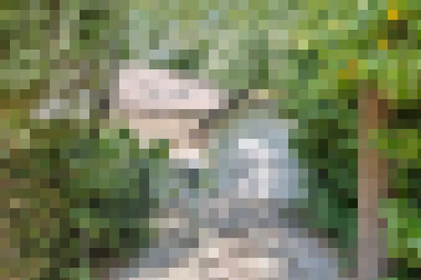 De Stille Wille 55 Oost West en Middelbeers thumbnail 30