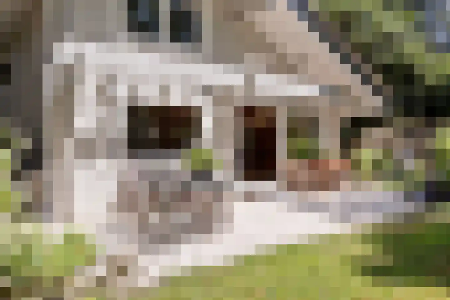 De Stille Wille 55 Oost West en Middelbeers thumbnail 31