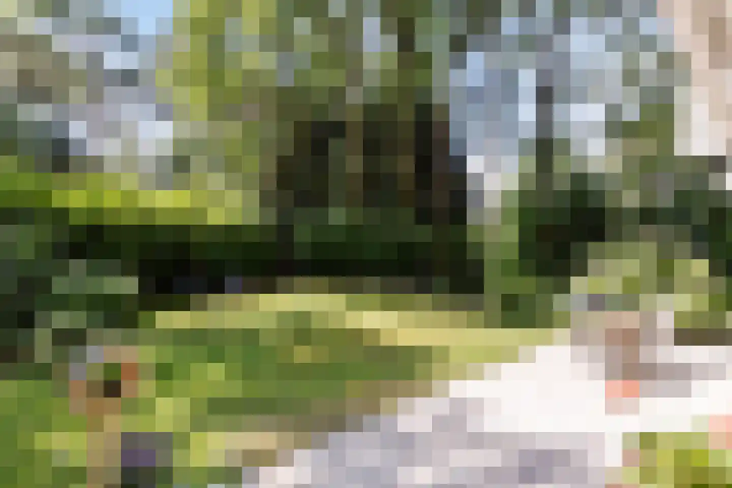 De Stille Wille 55 Oost West en Middelbeers thumbnail 32