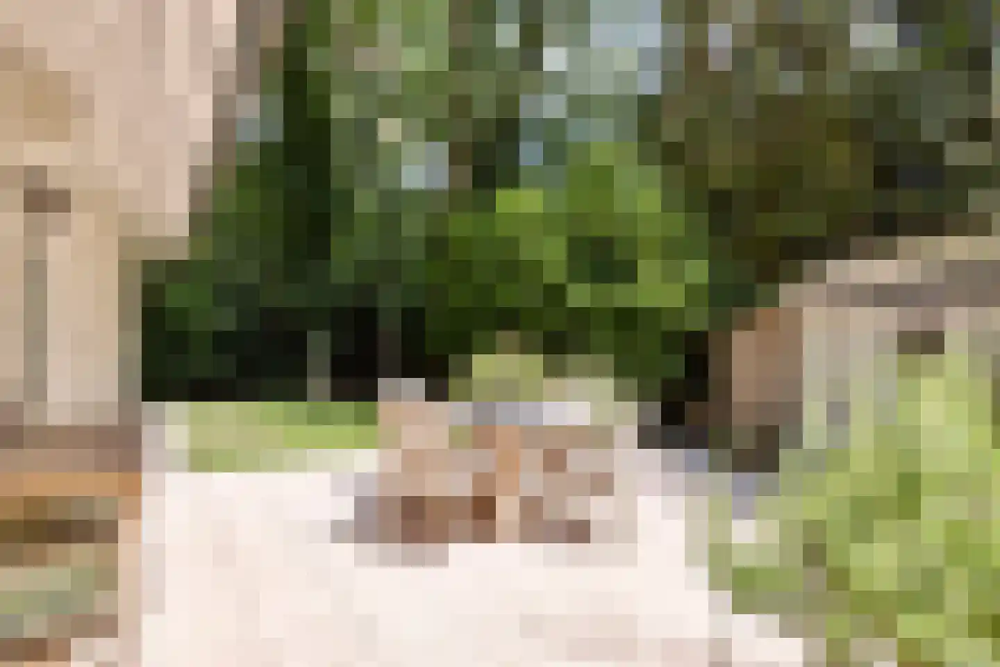 De Stille Wille 55 Oost West en Middelbeers thumbnail 33