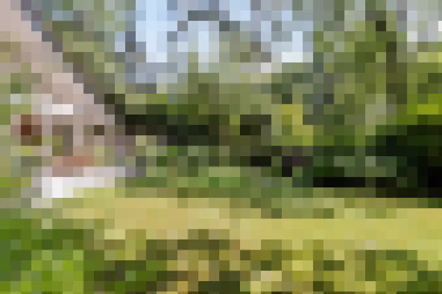 De Stille Wille 55 Oost West en Middelbeers thumbnail 34