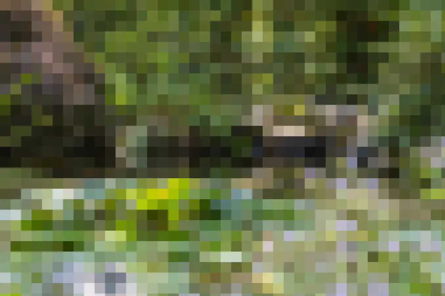 De Stille Wille 55 Oost West en Middelbeers thumbnail 35