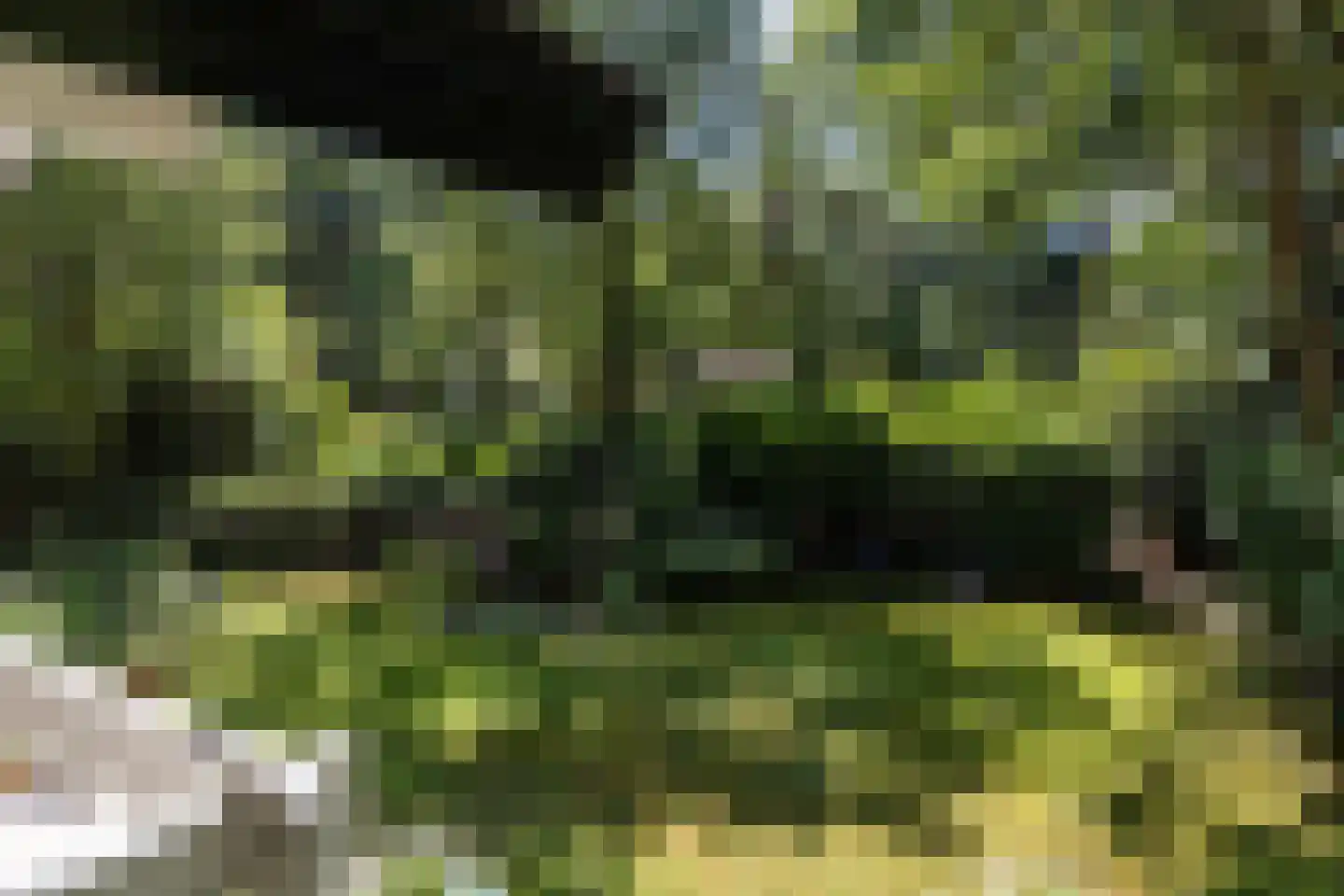 De Stille Wille 55 Oost West en Middelbeers thumbnail 36