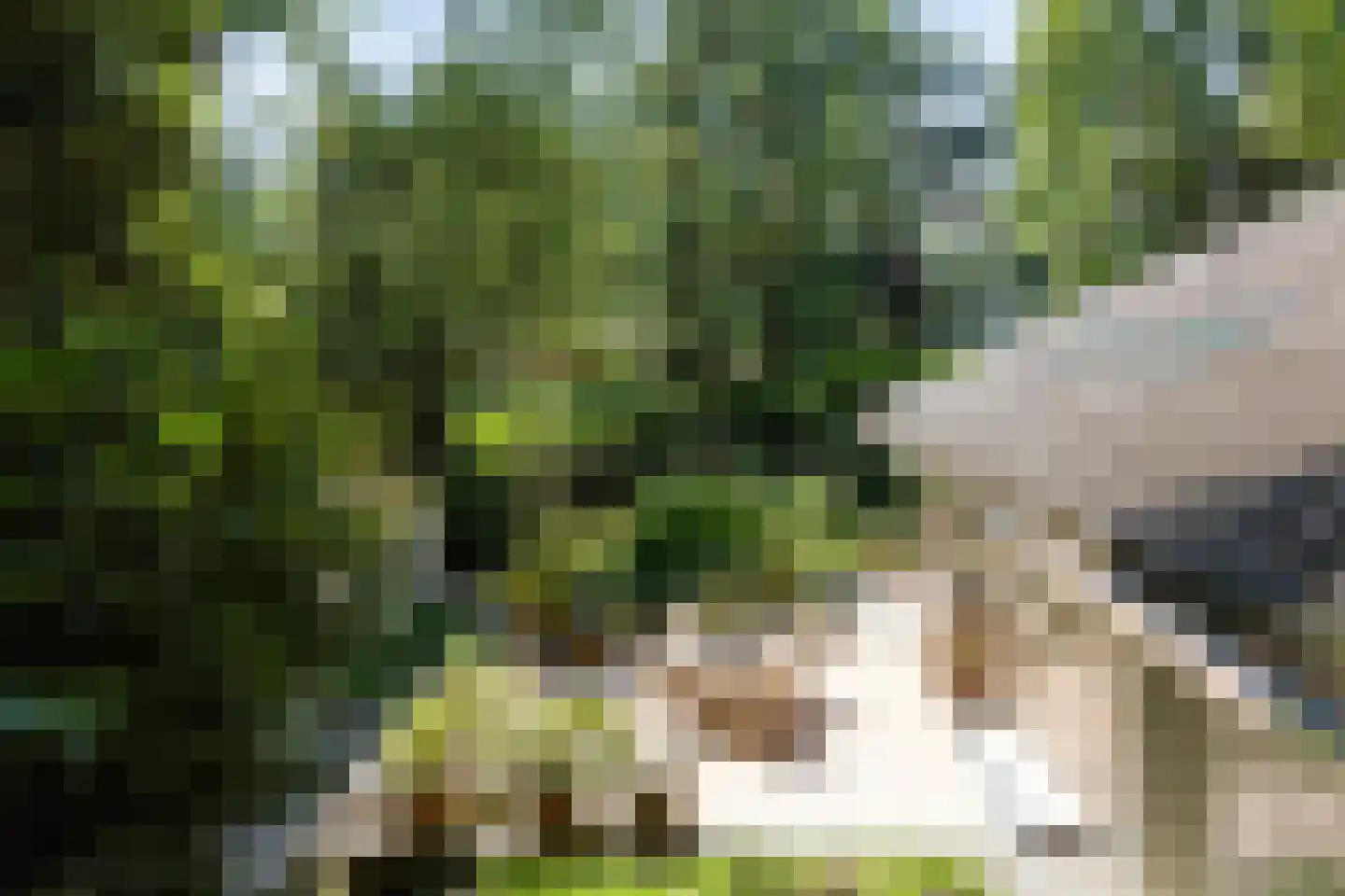 De Stille Wille 55 Oost West en Middelbeers thumbnail 37