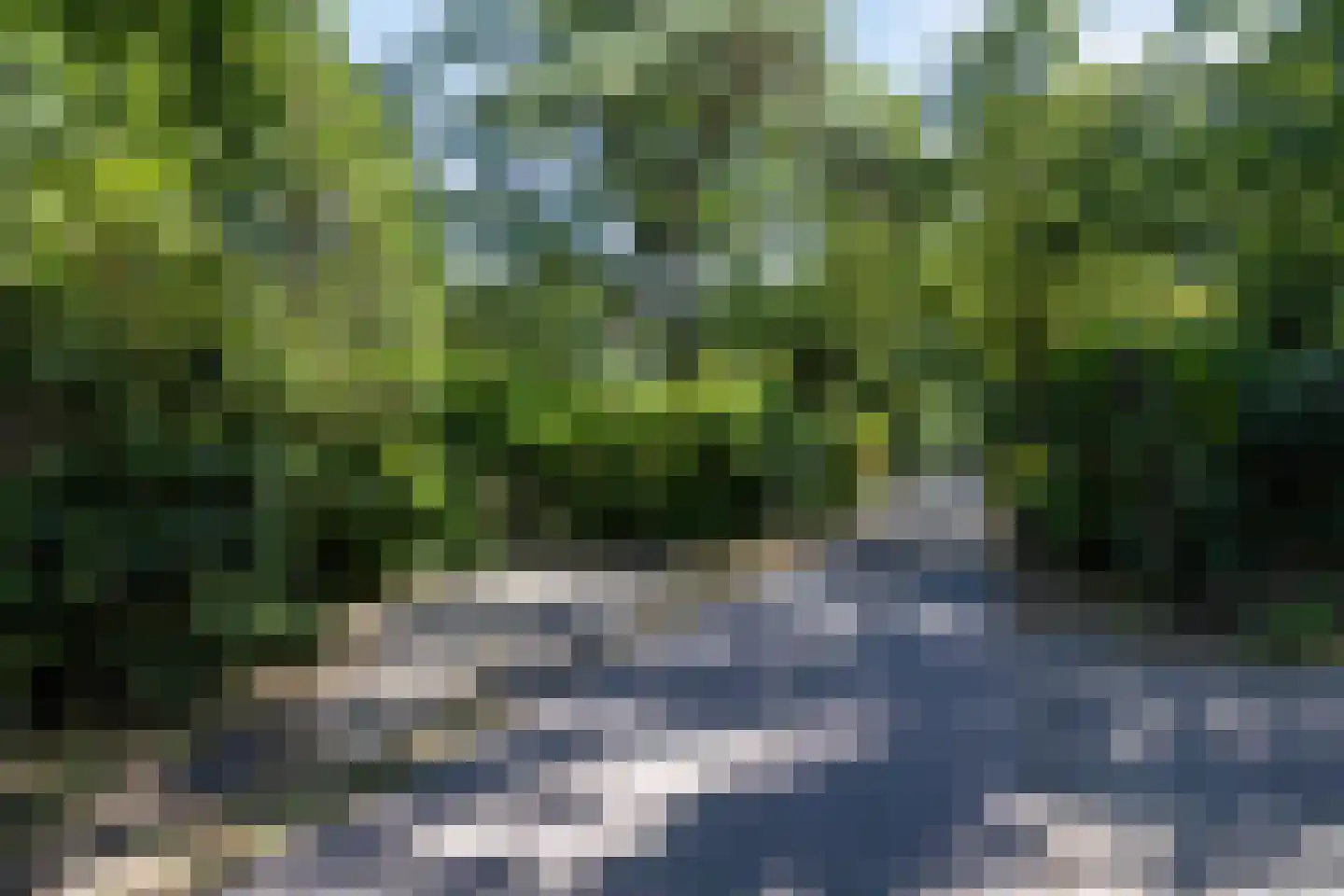 De Stille Wille 55 Oost West en Middelbeers thumbnail 38