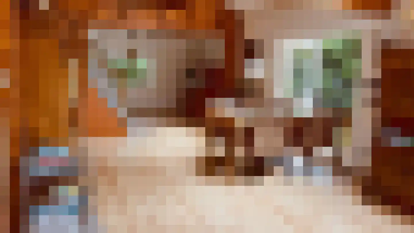 De Stille Wille 55 Oost West en Middelbeers thumbnail 4