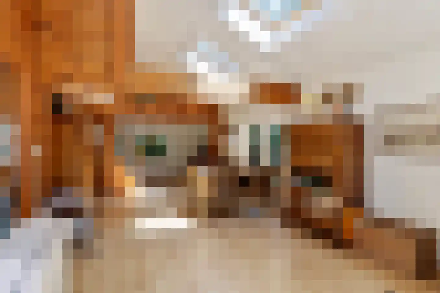 De Stille Wille 55 Oost West en Middelbeers thumbnail 4