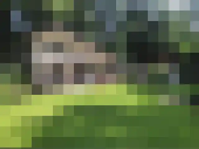 De Stille Wille 55 Oost West en Middelbeers thumbnail 6