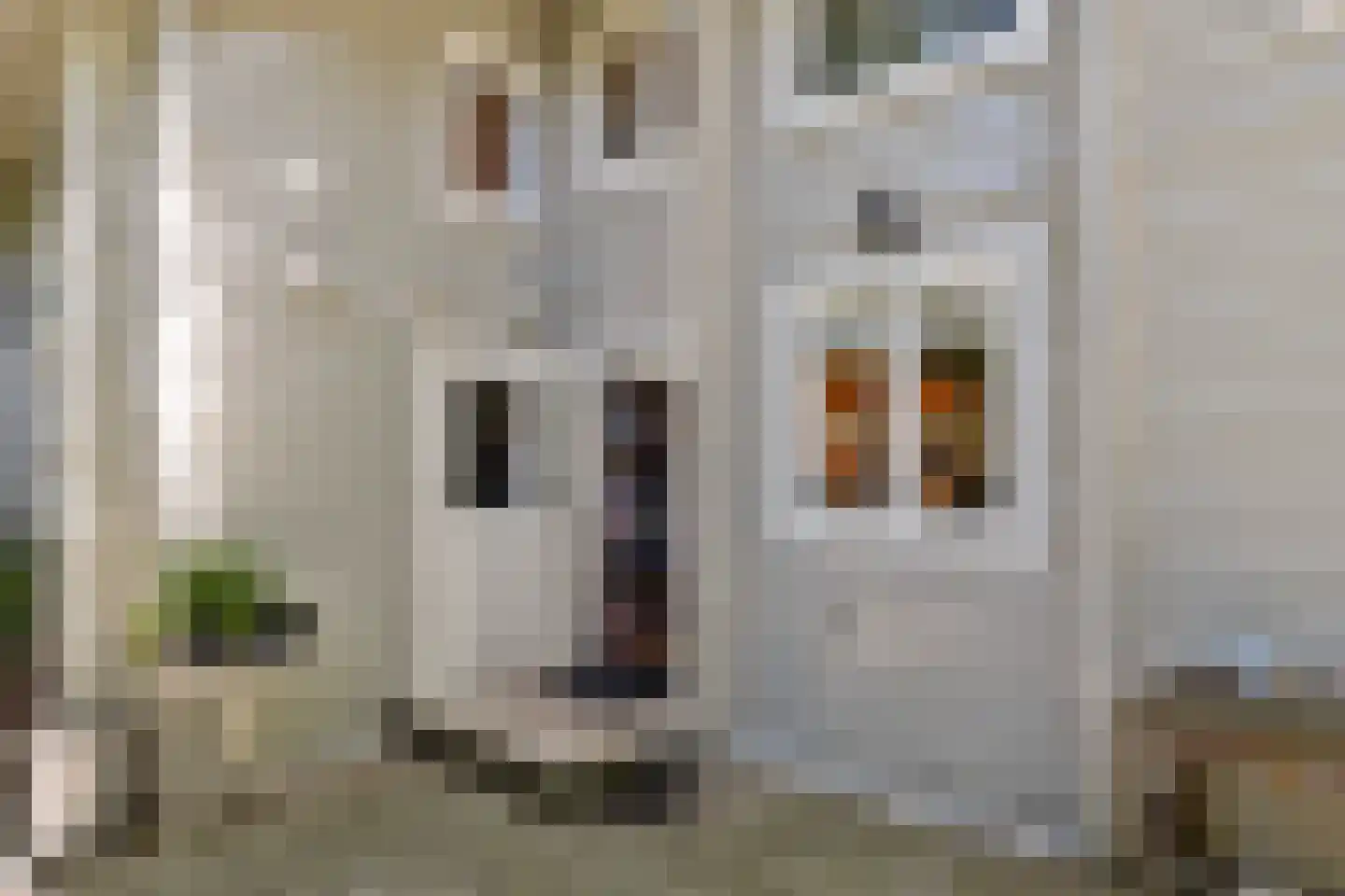 De Stille Wille 55 Oost West en Middelbeers thumbnail 7