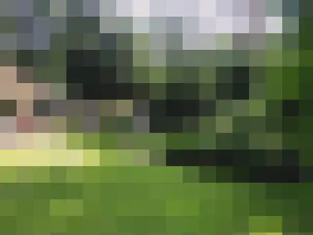 De Stille Wille 55 Oost West en Middelbeers thumbnail 7