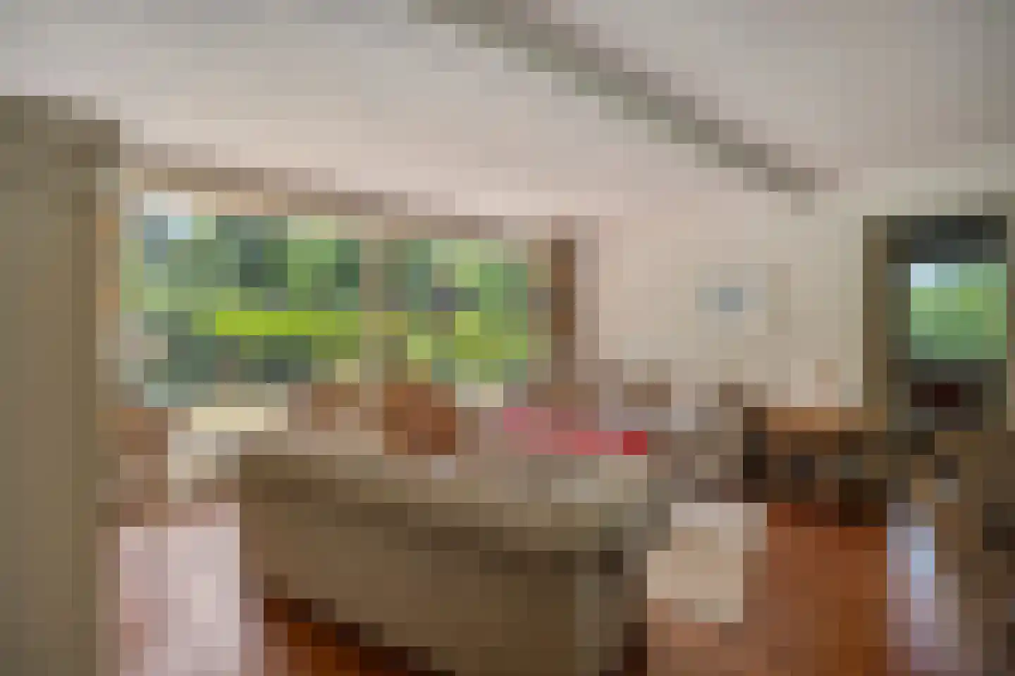De Stille Wille 76 Oost West en Middelbeers thumbnail 10