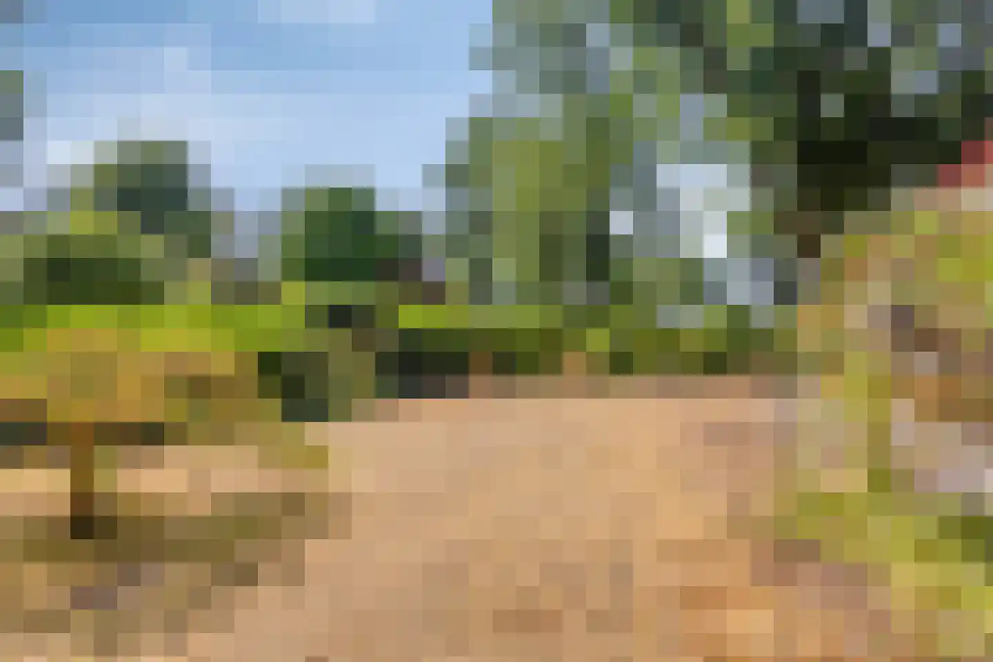 De Stille Wille 76 Oost West en Middelbeers thumbnail 25