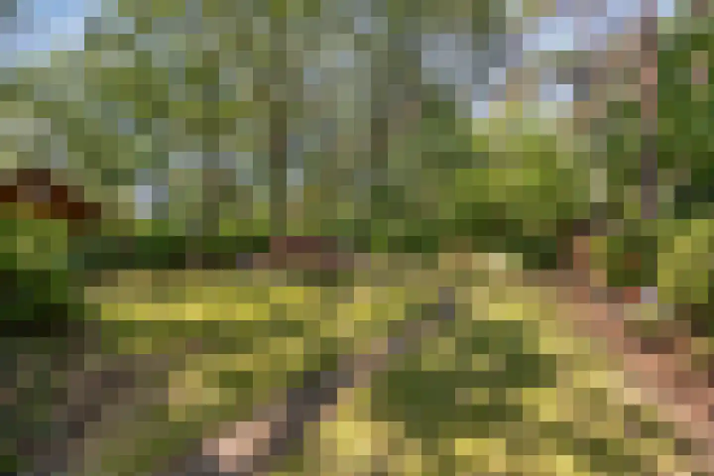 De Stille Wille 76 Oost West en Middelbeers thumbnail 27