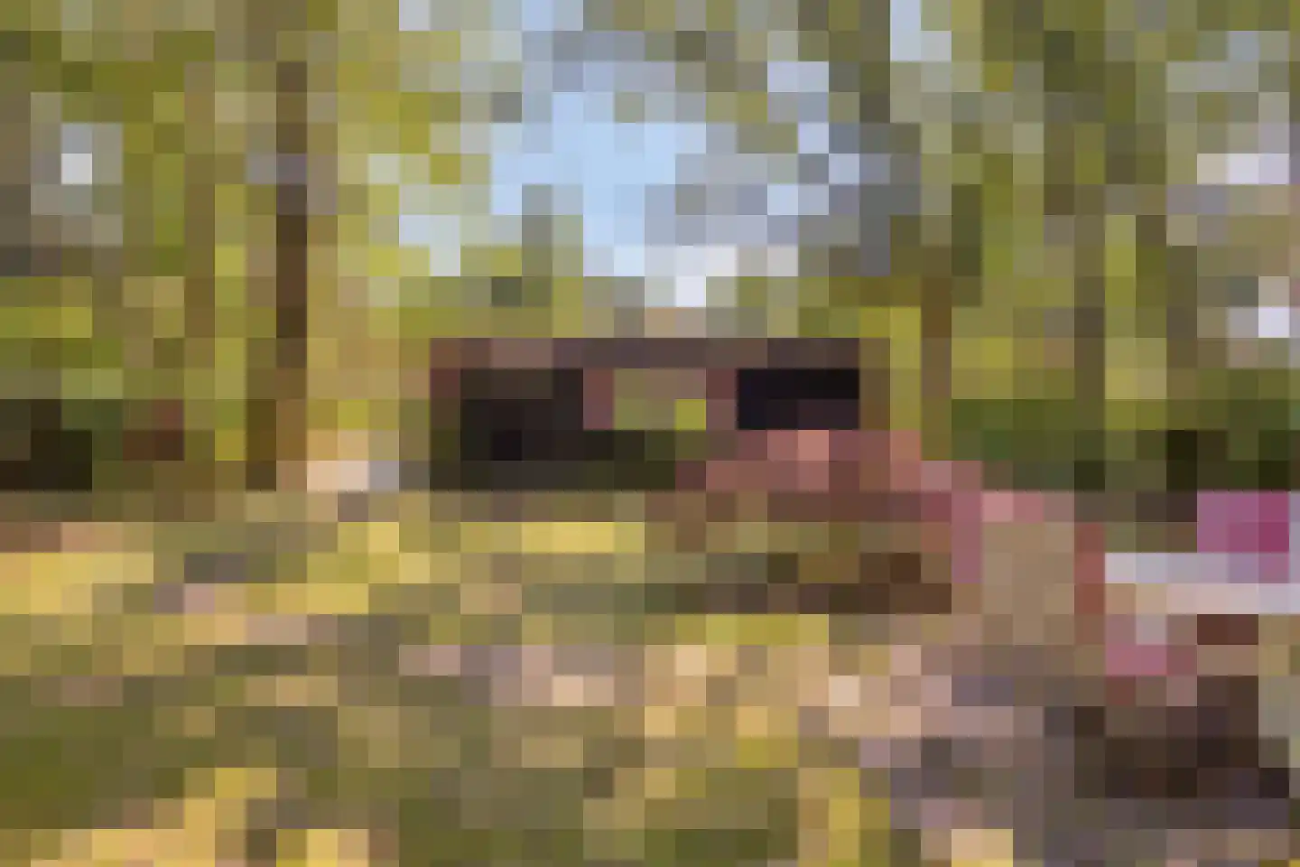 De Stille Wille 76 Oost West en Middelbeers thumbnail 29