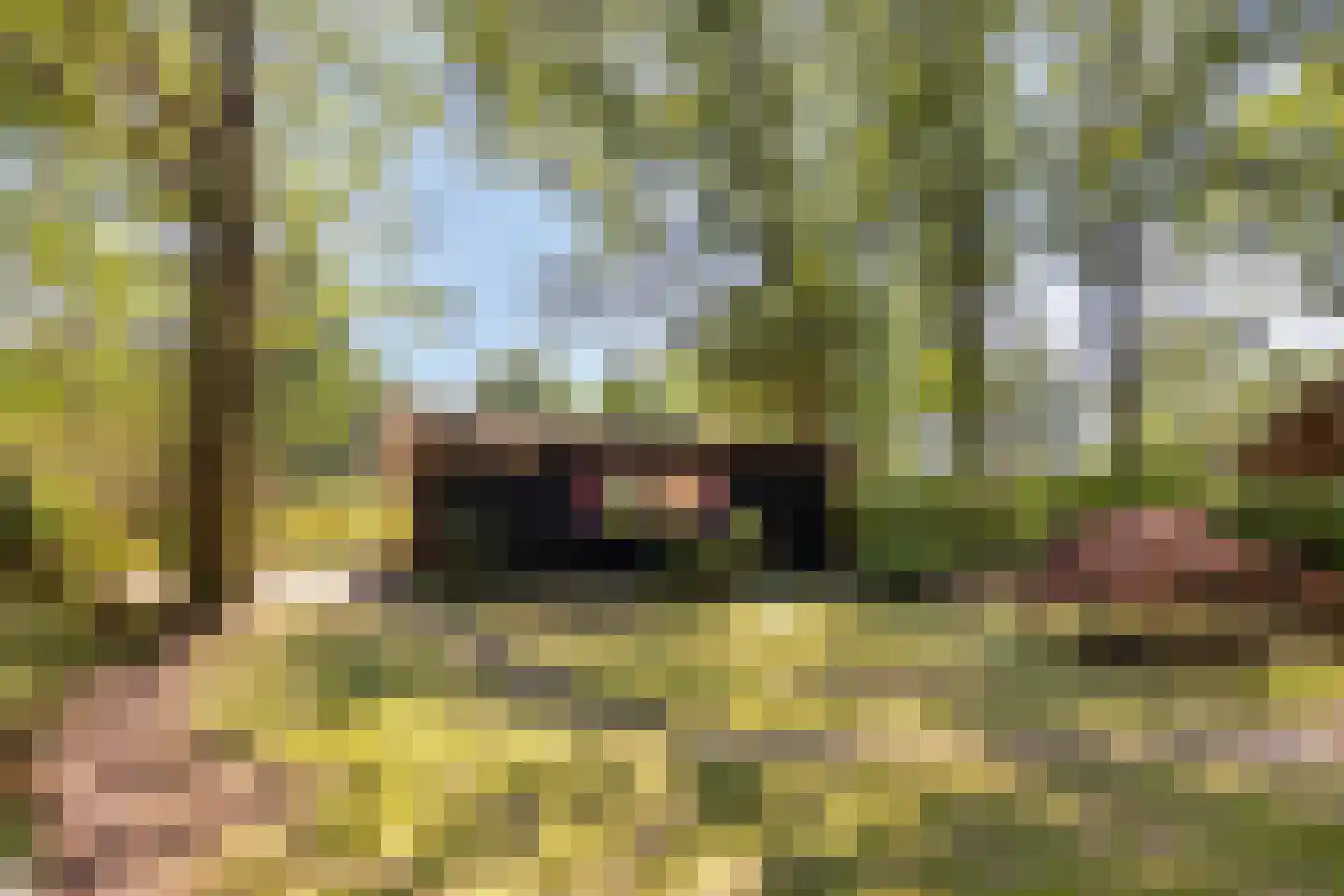 De Stille Wille 76 Oost West en Middelbeers thumbnail 30
