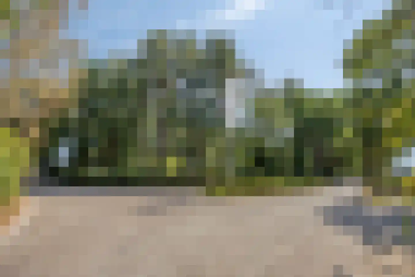 De Stille Wille 76 Oost West en Middelbeers thumbnail 33