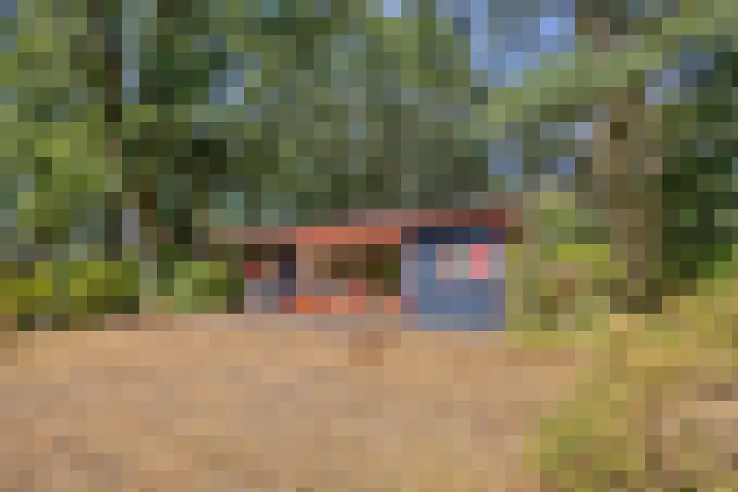 De Stille Wille 76 Oost West en Middelbeers thumbnail 4