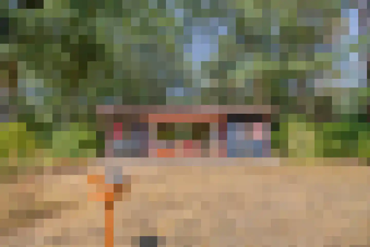 De Stille Wille 76 Oost West en Middelbeers thumbnail 7