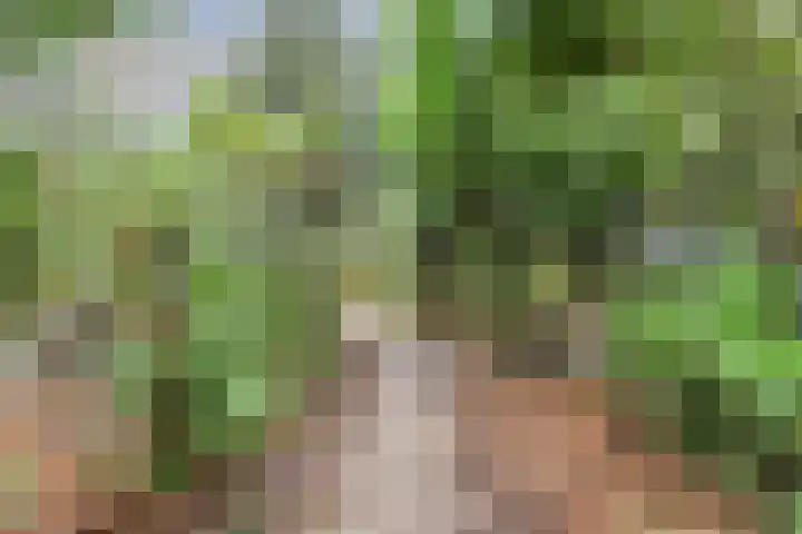 De Stille Wille 82 Oost West en Middelbeers thumbnail 22