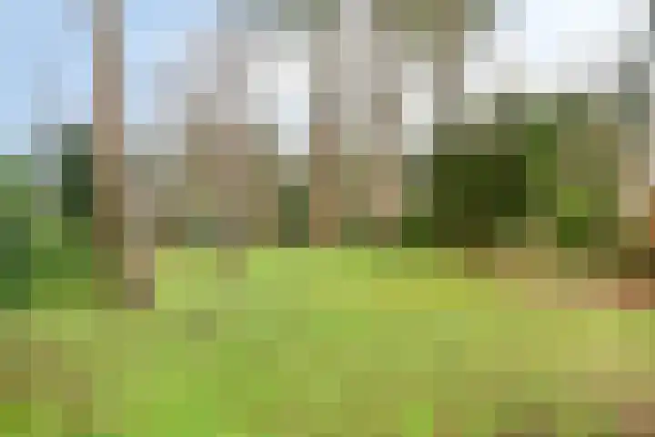 De Stille Wille 82 Oost West en Middelbeers thumbnail 23