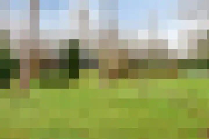 De Stille Wille 82 Oost West en Middelbeers thumbnail 24