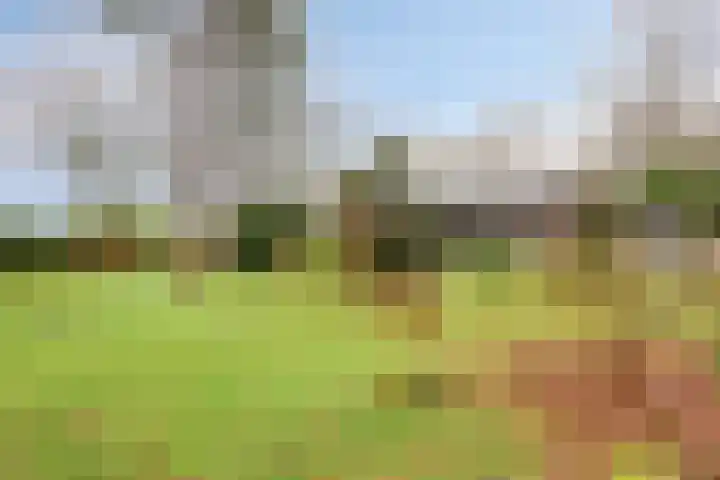 De Stille Wille 82 Oost West en Middelbeers thumbnail 25