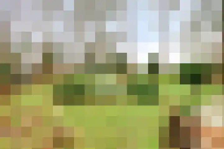 De Stille Wille 82 Oost West en Middelbeers thumbnail 26