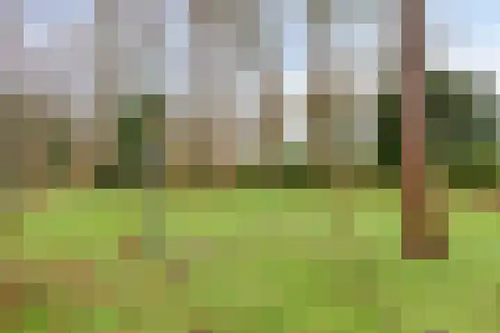De Stille Wille 82 Oost West en Middelbeers thumbnail 27