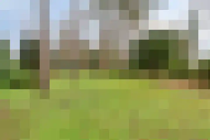 De Stille Wille 82 Oost West en Middelbeers thumbnail 28