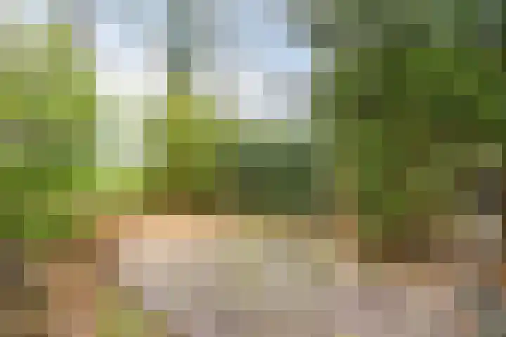 De Stille Wille 82 Oost West en Middelbeers thumbnail 29