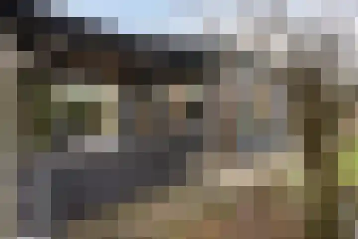 De Stille Wille 82 Oost West en Middelbeers thumbnail 30