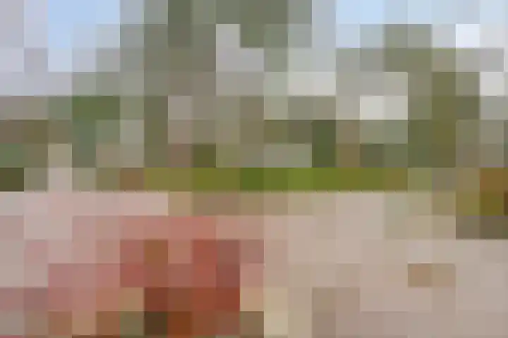 De Stille Wille 82 Oost West en Middelbeers thumbnail 31