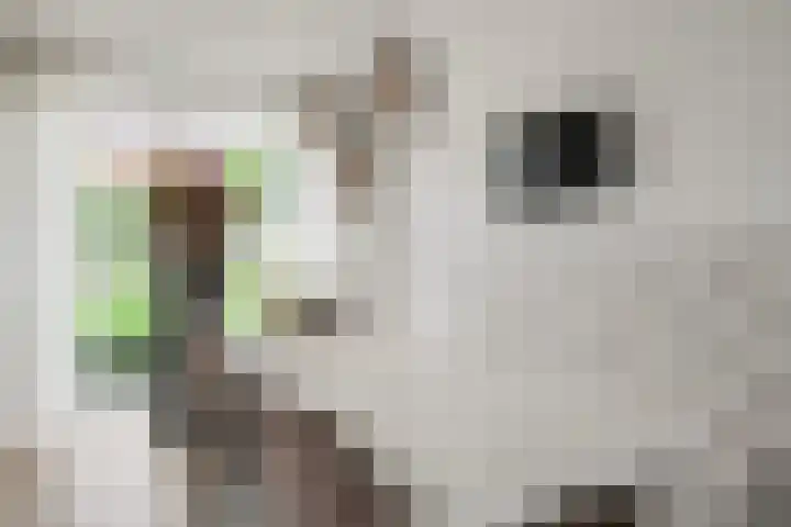 de Stip 27 Winterswijk thumbnail 13