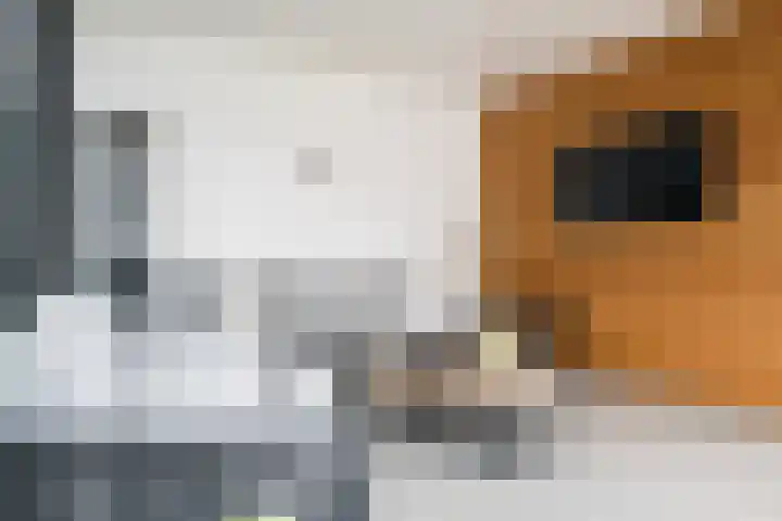 de Stip 27 Winterswijk thumbnail 44