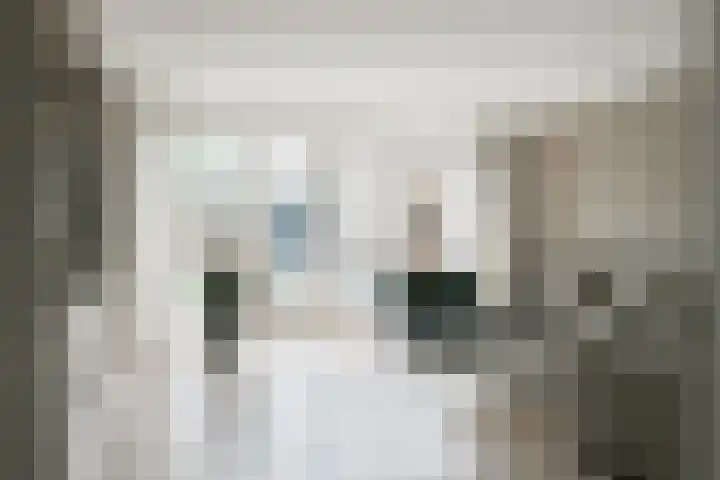 de Stip 27 Winterswijk thumbnail 6