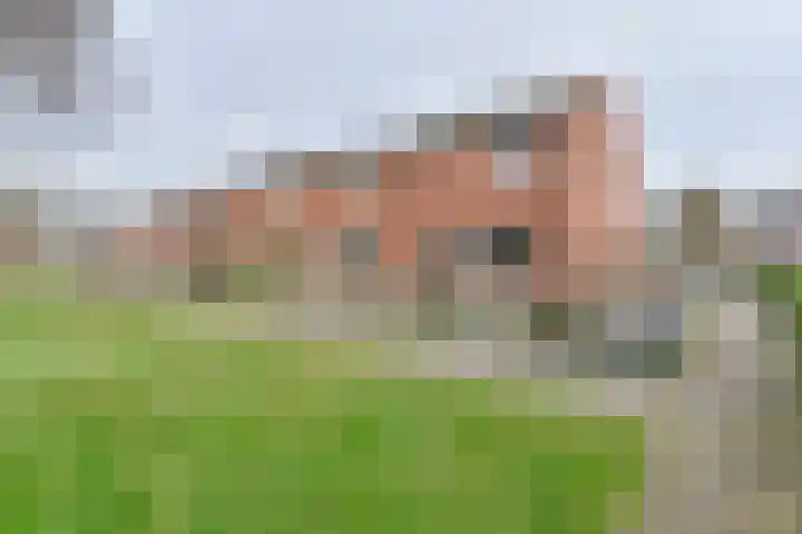De Stobbe 60 en Nieuw-Weerdinge